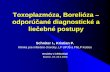 odporúčané diagnostické a liečebné postupy - VPL.sk · Toxoplazmóza, Borelióza – odporúčané diagnostické a liečebné postupy Schréter I., Kristian P. Klinika pre infekčné