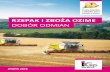 RZEPAK I ZBOŻA OZIME DOBÓR ODMIAN - igp-polska.pl · 2018 przyznanych dla: pszenicy ozimej jakościowej APOSTEL ... to odmiana populacyjna, to już od samej jesieni charakteryzowała