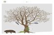 I. · Przeczytaj opis mówiący w jaki sposób żyjące na drzewie gatunki z niego korzystają ( co jedzą, czy zakładają gniazda, czy odpoczywają lub szukają schronienia…)