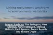 Linking recruitment synchrony to environmental variability · Linking recruitment synchrony to environmental variability Megan Stachura, Tim Essington, Nate Mantua, Anne Hollowed,