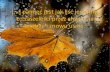 [] pamięć jest jak liść jesienny, co zaszeleści przez ... · Halina Ewa Olszewska Wieś, dzięki licznym talentom i zdolnościom Sołtysa, zaczęła się szybko rozwijać. ...