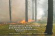 Suomen metsien paloainekset - Etusivu - … kuin toinen? Miksi ja miten pintapalo nousee latvapaloksi? Miten sääolot ja metsi-kön rakenne vaikuttavat palon etenemiseen? Tämän