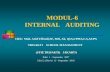 MODUL-6 INTERNAL AUDITING · Pengorganisasian staf audit. 4. Wewenang & tanggung jawab. 5. Struktur pekerjaan lapangan. ... Audit yang mengikuti proses dari awal hingga akhir dan