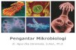 Pengantar Mikrobiologi Gizi 2018 · Faktor yang Mempengaruhi Pertumbuhan Bakteri Sejarah Mikrobiologi. Mikrobiologi dan Pentingnya Mikrobiologi. Mikrobiologi ‣ Ilmu tentang mikroorganisme.