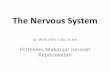 The Nervous System - iwansaing.files.wordpress.com · The difference between the CNS and PNS is anatomical… •Central Nervous System (CNS) The central nervous system consists of