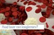 Hvad laver min knoglemarv? - mds-foundation.org · infektion forårsaget af virus, der kommer ind i din krop gennem næse, mund eller sår. De gør dette ved at genkende fremmede