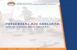 KEMENTERIAN PERTAHANAN REPUBLIK INDONESIA · kementerian pertahanan republik indonesia direktorat jenderal potensi pertahanan pengenalan senjata untuk kader bela negara jakarta 2017