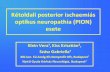 Kétoldali posterior ischaemiás optikus neuropathia esetenosza.eu/docs/eloadasok/Klein--PION--2012.pdf · Kétoldali posterior ischaemiás optikus neuropathia (PION) esete Klein