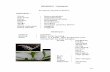 Acriopsis javanica - malut.litbang.pertanian.go.idmalut.litbang.pertanian.go.id/images/stories/Plasma-nutfah-Malut-1.pdf · Bunga : Tangkai bunga satu atau lebih keluar dari ujung