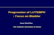 Progression of LUTS/BPH : Focus on Bladder · Introduction • LUTS/BPH is a slowly but chronically progressive disease • Role of alterations in bladder structure and function as