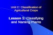 Classifying and Naming Plants · and Liliopsida (Monocotyledons) based on a variety of features from leaf venation and flower structure to growth form, root structure, and seed structure,