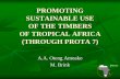 PROMOTING SUSTAINABLE USE OF THE TIMBERS OF … · PROMOTING SUSTAINABLE USE OF THE TIMBERS OF TROPICAL AFRICA (THROUGH PROTA 7) ... PROTA TIMBERS PROJECT offers interventions needed