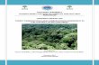 Updated Final Forest carbon stock assessment Manualssssssss · p a g e | 1 hawassa university wondo genet college of forestry and natural resources training manual on: forest carbon
