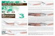 Eco Gel & Powder - Star Nail System 3 Instructions_8.5x11.pdf · Sanitize nails with Star Nail Sani-Spray Antiseptic to dehydrate and sanitize the nail. Tip Application 5. Choose