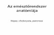 Az emésztőrendszer anatómiája - anatomy.szote.u-szeged.huanatomy.szote.u-szeged.hu/.../2015-16_2_03_hepar_pancreas_lex.pdf · Hepar VCI Ao. Latus dextrum Latus sinistrum Recessus