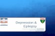 Depression & Epilepsy · Depression & Epilepsy Dr. Hamada Hamid ... People with epilepsy DIE from suicide . ... changes in mood or behavior"