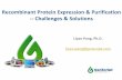 Recombinant Protein Expression & Purification ... · Liyan Pang, Ph.D. liyan.pang@genscript.com Recombinant Protein Expression & Purification -- Challenges & Solutions