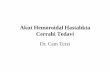 Akut Hemoroidal Hastalıkta Cerrahi Tedavi · 2010-04-06 · Hemoroidal Hastalık Eksternal hemoroidler Đnternal hemoroidler Tromboze eksternal hemoroid Tromboze/strangüle/nekroze