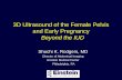 3D Ultrasound of the Female Pelvis and Early Pregnancy · 2017-10-23 · 3D Ultrasound of the Female Pelvis and Early Pregnancy Beyond the IUD ... myomas and adenomyosis ... •Certain