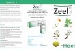 Zeel Comp N Leaflet Amended Logo - Bio Pathica Comp N.pdf · Zeel Comp. N is a homeopathic ... 125 patients in total. The characterisation (anamnesis) of the osteoarthritis was carried
