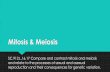 Mitosis & Meiosis .Mitosis & Meiosis SC.912.L.16.17 Compare and contrast mitosis and meiosis and