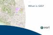 What is GIS - Esri: GIS Mapping Software, Spatial Data Analytics … · 2012-08-25 · What Is GIS? Why Geography Matters 5 A transformation is taking place. Businesses and governments,