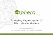 Assaying Organotypic 3D Microtissue Models/media/files/promega worldwide/europe...Assaying Organotypic 3D Microtissue Models Tour of the Prom’s Dr. Jens M. Kelm, CSO and co-founder