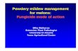 Powdery mildew management for melons: Fungicide mode of ... · The physiological mode of action • Fungicides are metabolic pathway inhibitors • Fungicides can be placed in groups