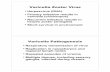 Varicella Zoster Virus Varicella Pathogenesiscourses.washington.edu/medch401/pdf_text/401_07_daggett_Lect7.pdf · Varicella Zoster Virus ... ¥Repeated episodes of viremia ¥Multiple