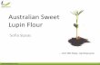 Australian Sweet Lupin Flour - skinnybik.com Valley Australian Sweet Lupin... · Lupinus albus Europe, S. Africa & Australia Yellow lupin Lupinus luteus Poland, Russia & Germany 7