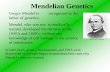 Mendelian Geneticsgatotciptadi.lecture.ub.ac.id/...kuliah-2...indo-danInggris-FAPET3.pdfMendelian Genetics Gregor Mendel is recognized as the father of genetics. Mendel, who was not