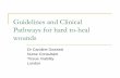 Guidelines and Clinical Pathways for hard to-heal wounds network meeting... · Guidelines and Clinical Pathways for hard to-heal wounds Dr Caroline Dowsett Nurse Consultant Tissue