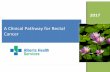 Clinical Pathway for Rectal Cancer - albertahealthservices.ca · Clinical Pathway Overview This Clinical Pathway for Rectal Cancer serves to describe the optimal care for rectal cancer