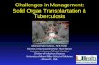 Challenges in Management: Solid Organ Transplantation ... in... · Challenges in Management: Solid Organ Transplantation & Tuberculosis Michele I Morris, M.D., FACP, FIDSA Director,