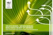 SoluSi BiSniS: Mewujudkan deklaraSi Heart of Borneoassets.panda.org/downloads/hob_business_solutions... · lingkungan dengan cara bekerjasama dengan bisnis, pemerintah dan masyarakat.