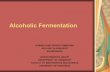 Alcoholic Fermentation - ocw.ui.ac.idocw.ui.ac.id/.../145/mod_resource/content/0/5.4.Fermentasi_Alkohol.pdf• Beer, Wine • Root beer, Sweet carbonated beverages • Industrial Ethanol