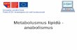Evropský sociální fond Praha & EU: Investujeme do ...old.vscht.cz/anl/oppa-sem-bio/PDFs/II_6_OPPA.pdf · Transport acetylCoA • acetyl-CoA v mitochondrii vznik ... • 5. dehydratace