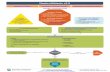 CSW Nephrolithiasis Pathway - seattlechildrens.org · This pathway was developed through local consensus based on published evidence and expert ... Concepts searched were nephrolithiasis,