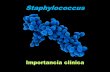 Presentación de PowerPoint - depa.fquim.unam.mxdepa.fquim.unam.mx/bacteriologia/pdfs/nuevos1018/Staphylococcus... · Faringitis Prostatitis Laringitis Epididimitis Traqueítis Vaginitis