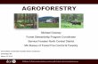 AGROFORESTRY · 2018-03-26 · What is Agroforestry? The intentional integration of agriculture and forestry to create productive and sustainable farms, ranches, and woodlands.
