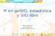R en gvSIG, estadística y SIG libre · R en gvSIG, estadística y SIG libre Óscar Martínez @masquesig omartinez@gvsig.com
