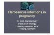 Herpesvirus infections in pregnancy Update · Herpes simplex virus 1+2 Risk in pregnancy and at birth Primary infection in pregnancy with higher risk of complications Intrauterine