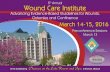 Advancing Evidence-Based Guidelines for Wounds, Ostomies ... · Advancing Evidence-Based Guidelines for Wounds, ... Pharmacology Update for the WOC Nurse. ... v Achieving Optimal