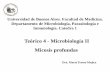 Teórico 4 - Microbiología II Micosis profundas 4... · Es un micosis profunda granulomatosa y supurativa del hombre y los mamíferos típica de las zonas áridas del continente