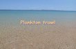 Plankton Trawl - .What is plankton ? Plankton are organisms that drift in the ocean because they