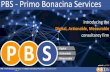 PBS - Primo Bonacina Services file - slide 1 PBS - Primo Bonacina Services Introducing the Digital, Actionable, Measurable consultancy firm updated: April 2019.