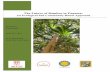 The Future of Bamboo in Panama · 2018-06-07 · Este jardín contendrá 12 especies de bambú, además de estructuras de bambú como puentes y cercas. Será un espacio educativo