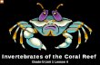 Invertebrates of the Coral Reef - NOAA Office for … Reef Invertebrates Cnidaria Porifera Platyhelminthes and Nemertina Annelida Mollusca Echinodermata Arthropoda The words on the