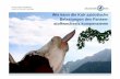 Prof. Dr. Jörg R. Aschenbach Institut für Veterinär ... · 3 Wie kann die Kuh azidotische Belastungen des Pansen-stoffwechsels kompensieren J.R. Aschenbach: Pansen-Workshop, 6.