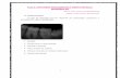 Aula 5: ANATOMIA RADIOGRÁFICA DENTO-MAXILO- …cac-php.unioeste.br/projetos/patologia/docs/anatomia_radiografica_dento_maxilo... · Radiology: Color Atlas of Dental Medicine. Georg